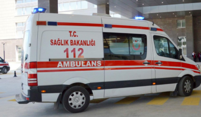 8 yaşındaki çocuk, sevmek istediği sahipsiz köpeğin saldırısına uğradı