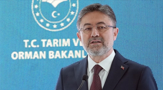 "Orman yangınlarına ilişkin dezenformasyon devam ediyor"
