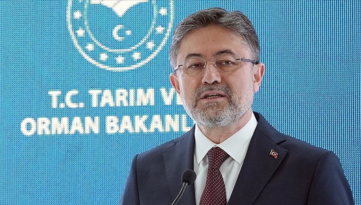 "Orman yangınlarına ilişkin dezenformasyon devam ediyor"