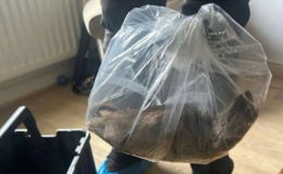 Evinden kedi kadar fare çıktı