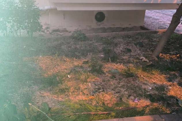 Kediyi yakalamak isterken 5. kattan düştü