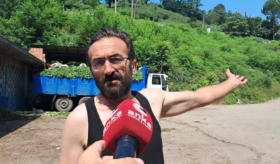 Hopalı çay üreticileri dertli: “Çay Topluyoruz ama Kazanmıyoruz”