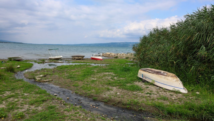 Sapanca Gölü'nde tehlike çanları çalıyor