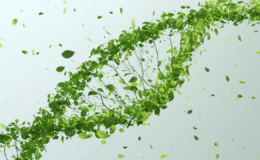 Bitki ve hayvan hücrelerindeki DNA'yı değiştirebilen iki yeni genom teknolojisi geliştirildi