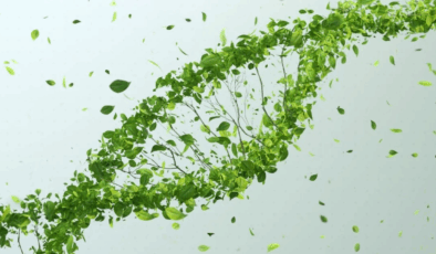 Bitki ve hayvan hücrelerindeki DNA'yı değiştirebilen iki yeni genom teknolojisi geliştirildi