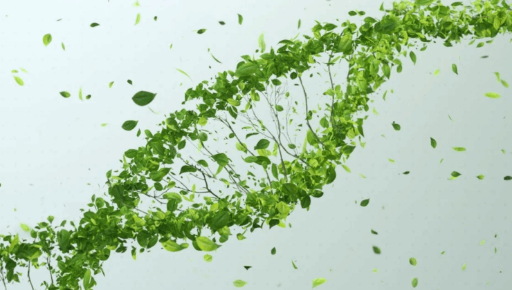 Bitki ve hayvan hücrelerindeki DNA'yı değiştirebilen iki yeni genom teknolojisi geliştirildi