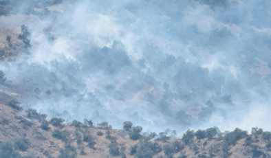 Şırnak'ta alevler durdurulamıyor! Yangına müdahale sürüyor