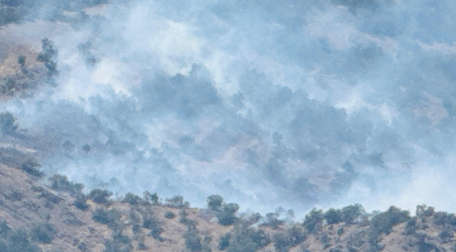 Şırnak'ta alevler durdurulamıyor! Yangına müdahale sürüyor