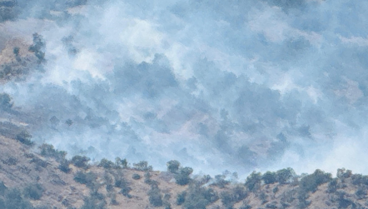 Şırnak'ta alevler durdurulamıyor! Yangına müdahale sürüyor
