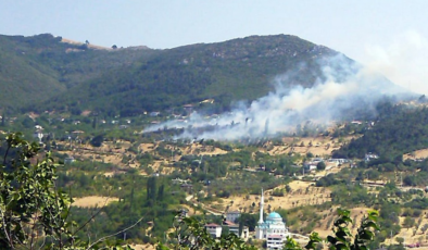 Sakarya'da korkutan ot yangını