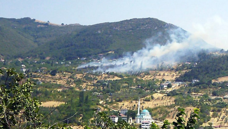 Sakarya'da korkutan ot yangını