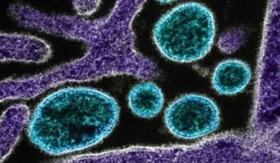 Çinde chikungunya virüsü alarmı: Sivrisinek kaynaklı salgın büyüyor