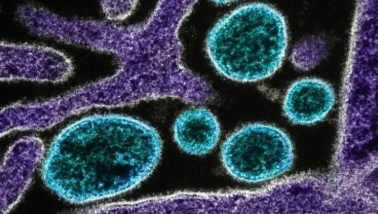 Çinde chikungunya virüsü alarmı: Sivrisinek kaynaklı salgın büyüyor