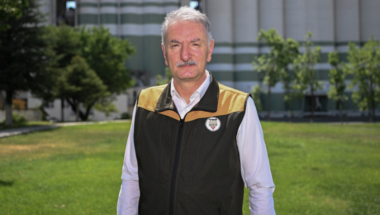 Bu yılın fındık tahmini belli oldu: 453 bin ton üretim bekleniyor