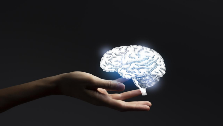 Alzheimer'ın nedeni beynin neresinde?