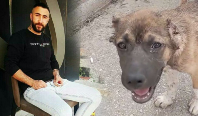 Bursa'da köpeğe işkence eden şüpheli tutuklandı