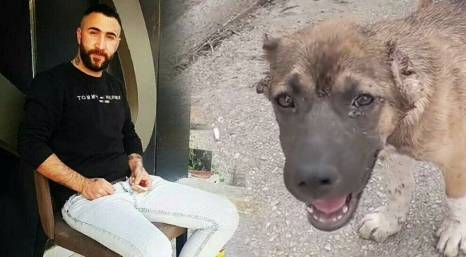 Bursa'da köpeğe işkence eden şüpheli tutuklandı