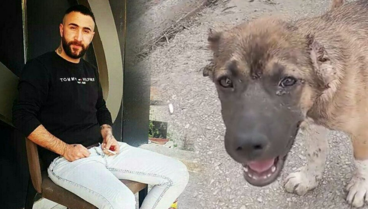 Bursa'da köpeğe işkence eden şüpheli tutuklandı