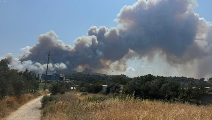 Çanakkale'de tarım arazisinde başlayan yangın ormana sıçradı