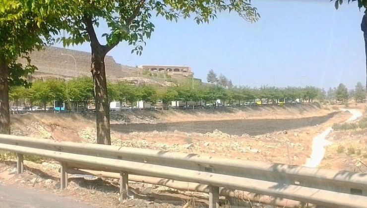 Sıcaktan 'ağızları' açık kaldı!