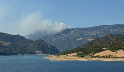 Sinop’ta orman yangını:  Bir köy tahliye edildi