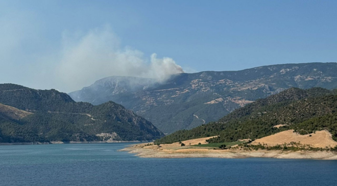 Sinop’ta orman yangını:  Bir köy tahliye edildi