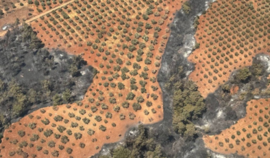 Bakan Yumaklı: Çanakkale’deki orman yangınları kontrol altına alındı
