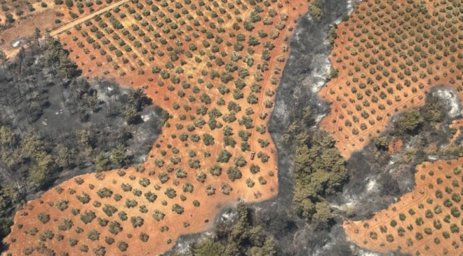 Bakan Yumaklı: Çanakkale’deki orman yangınları kontrol altına alındı