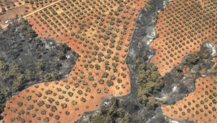 Bakan Yumaklı: Çanakkale’deki orman yangınları kontrol altına alındı
