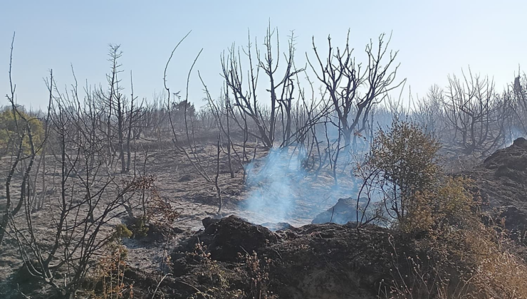 Tekirdağ Malkara’da makilik alanda yangın