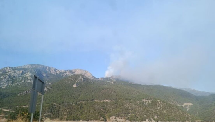 Sinop'ta ve Aksaray'da orman yangını