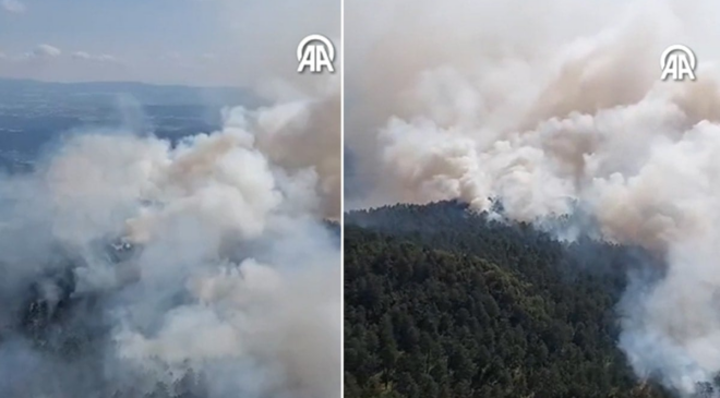 Sinop'taki orman yangınına havadan müdahale başladı!