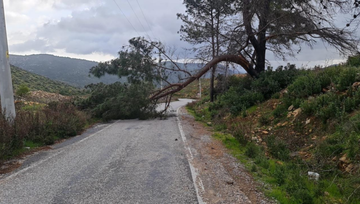 Güneydoğu için kuvvetli rüzgar uyarısı