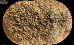 Mars'ta bulunan 'yaban mersini küreleri' heyecan yarattı