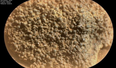 Mars'ta bulunan 'yaban mersini küreleri' heyecan yarattı