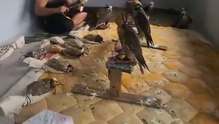 Sosyal medyada gündem olmuşlardı: Kuş çetesine Silivri’de baskın!