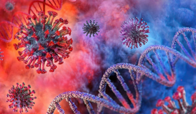 Dünya alarm durumuna geçti! Chikungunya virüsü nedir?