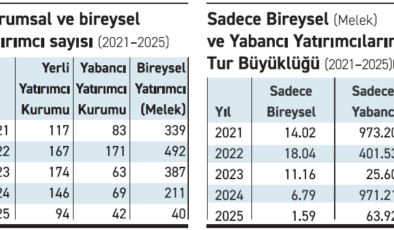 Girişimlere yabancı ve bireysel yatırımcı ilgisi 5 yılın en düşüğünde!