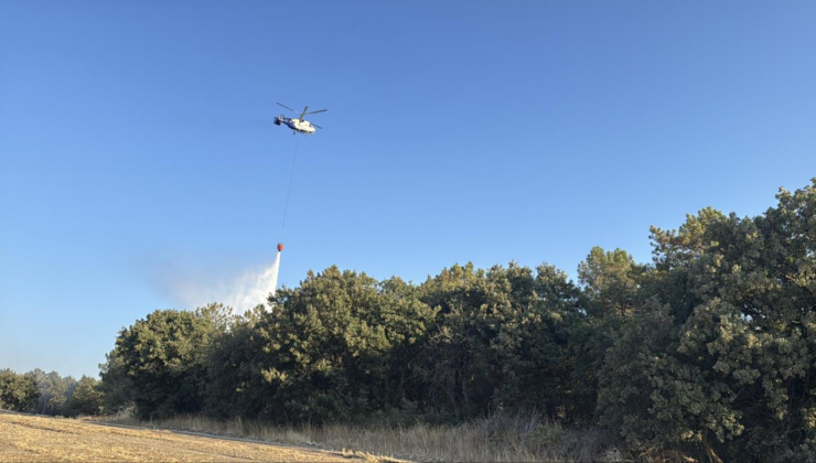 Çanakkale ve İzmir'deki orman yangınları kontrol altında