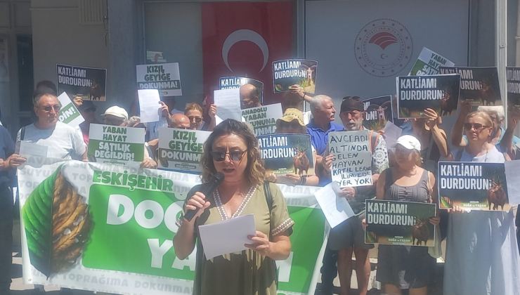 Eskişehir’de Geyik katliamına sert tepki