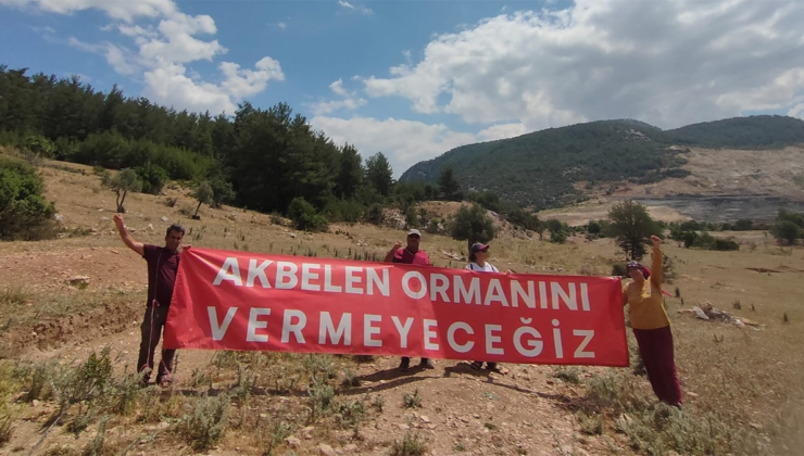 Danıştay'dan Akbelen kararı