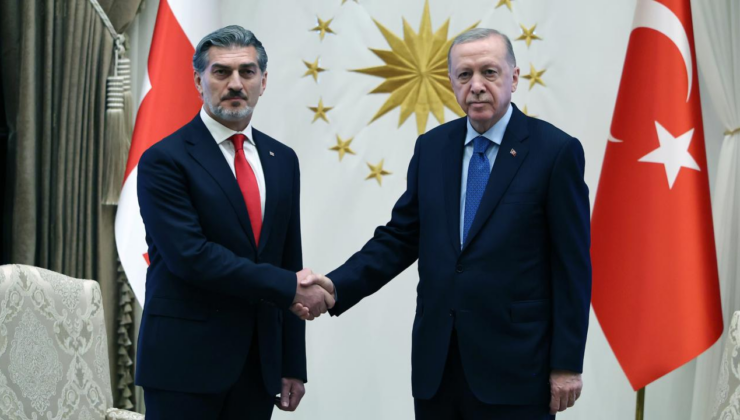 Gürcistan Cumhurbaşkanı: Erdoğan'ın barış rolü son derece önemli