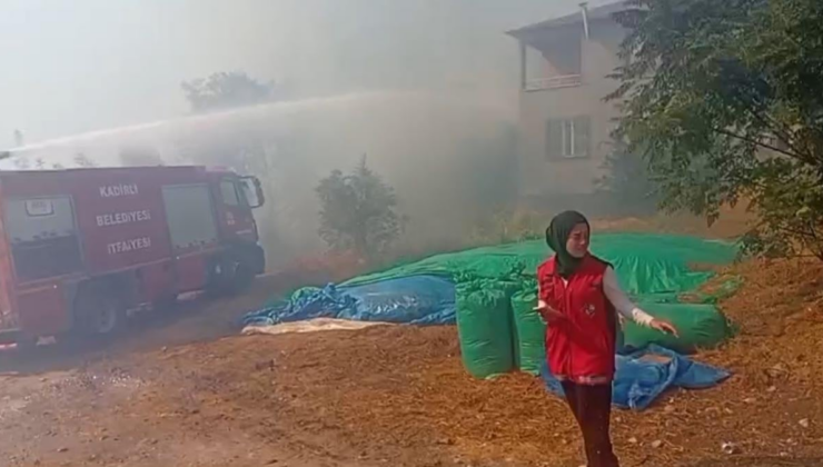Osmaniye’de anız yangını makilik alana sıçradı