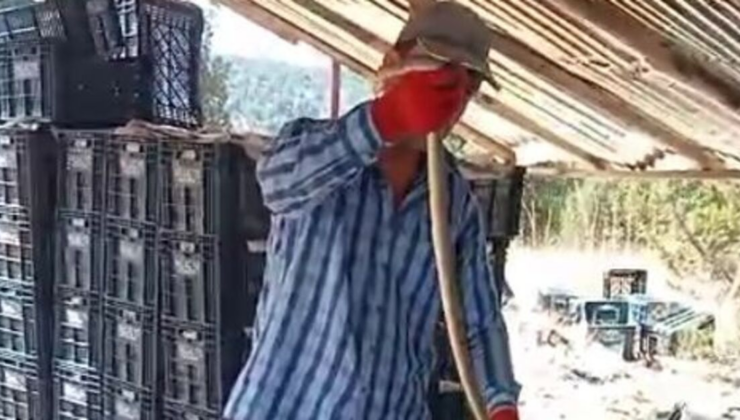 Yakaladığı yılana su içirip öptü