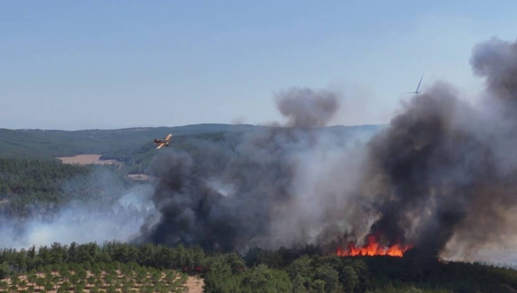 Çanakkale'de alevler yeniden yükseldi, havadan karadan müdahale sürüyor