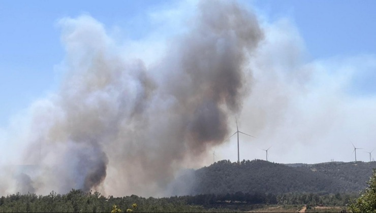 Çanakkale'de yine yangın: Kazdağları tehdit altında