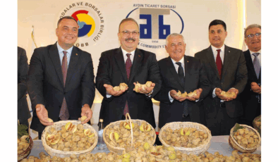 Aydın’da sezonun ilk kuru inciri 800 TL'den satışa sunuldu