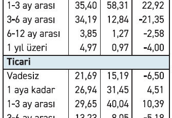TL mevduat kısa vadeye park etti