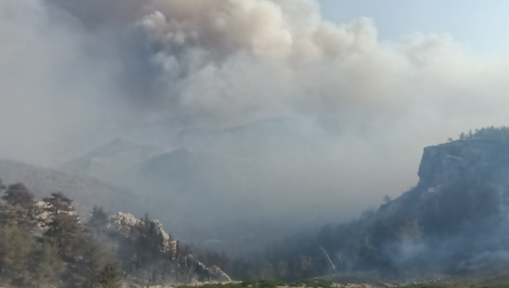 Mersin'de orman yangını! 3 mahalle tahliye ediliyor