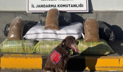 Yolcu otobüsünden 230 kilogram kaçak tütün çıktı
